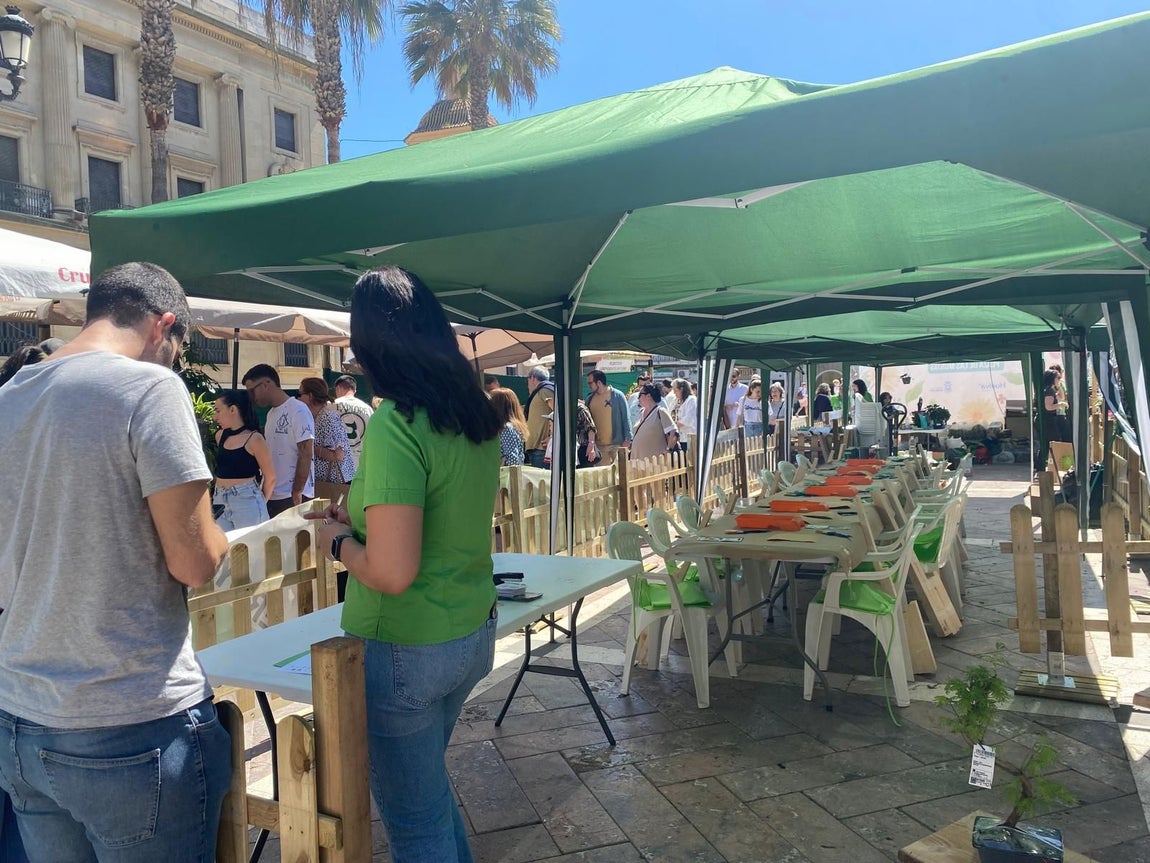 El gran &#039;Jardín de Huelva&#039;, en imágenes