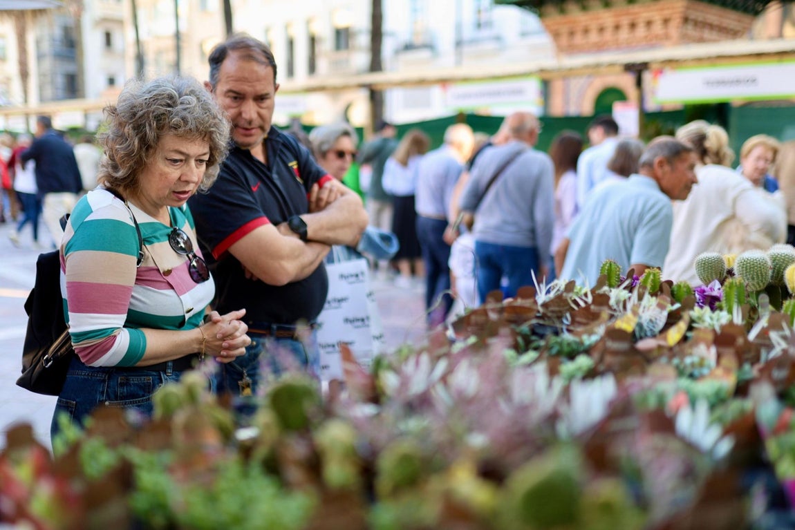 El gran &#039;Jardín de Huelva&#039;, en imágenes