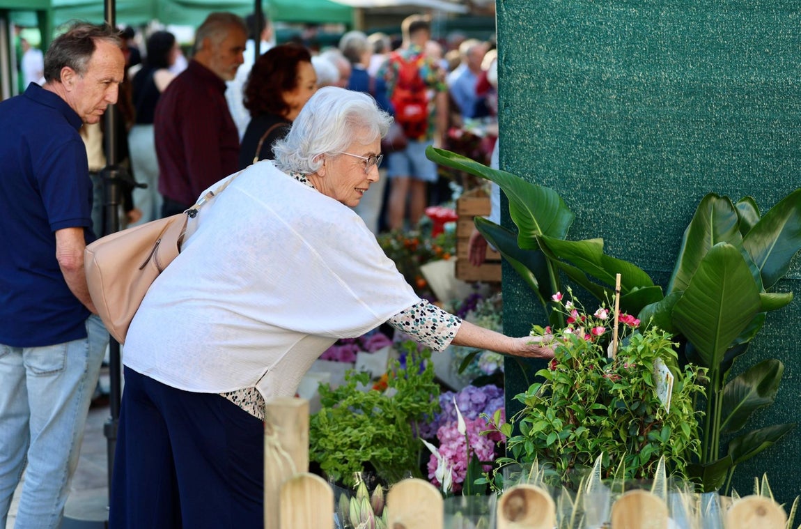 El gran &#039;Jardín de Huelva&#039;, en imágenes