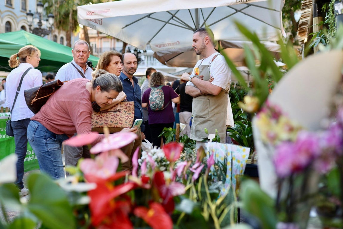 El gran &#039;Jardín de Huelva&#039;, en imágenes