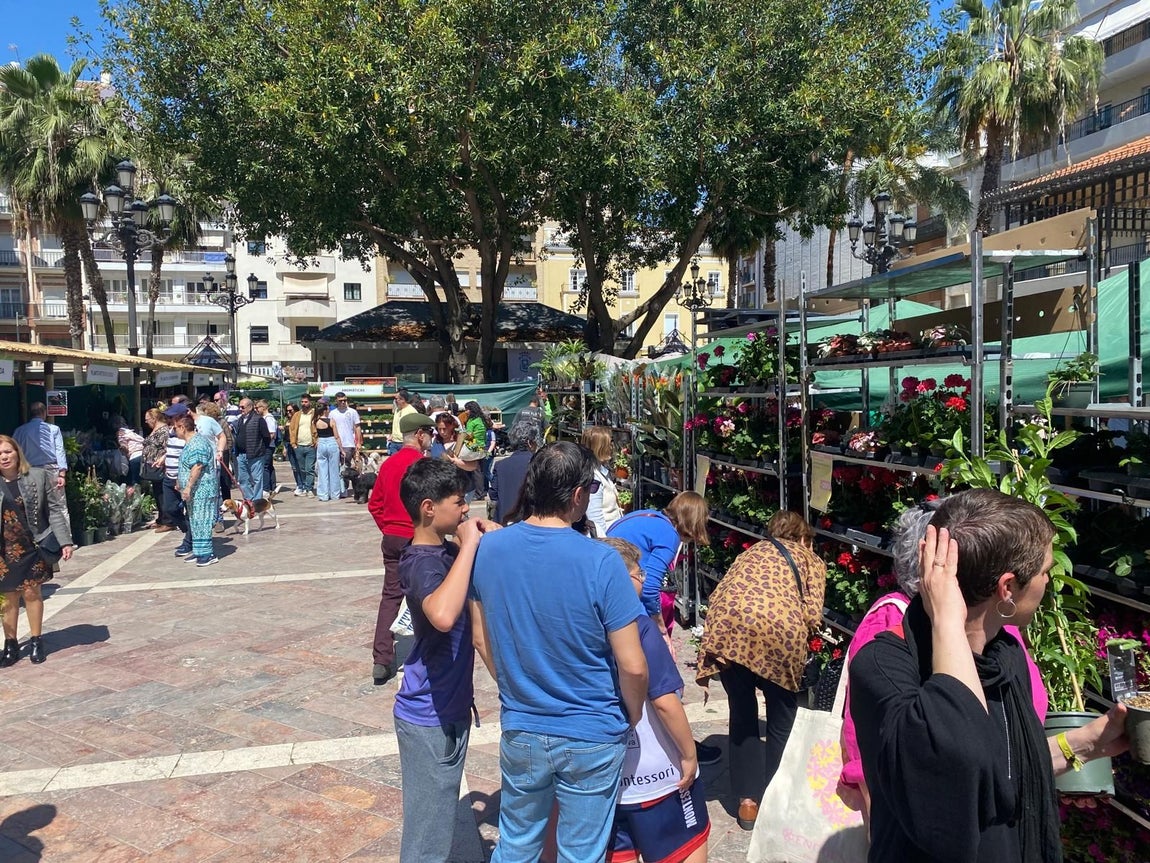 El gran &#039;Jardín de Huelva&#039;, en imágenes