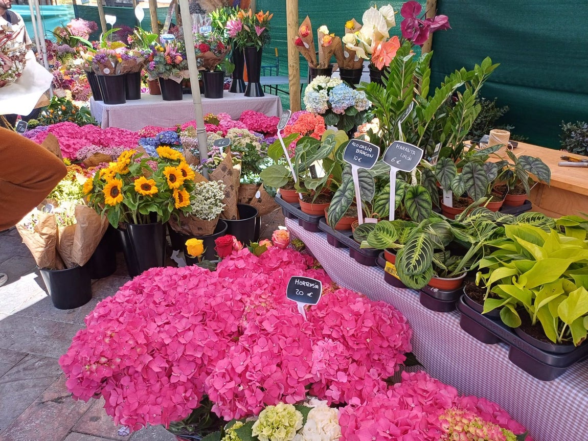 El gran &#039;Jardín de Huelva&#039;, en imágenes
