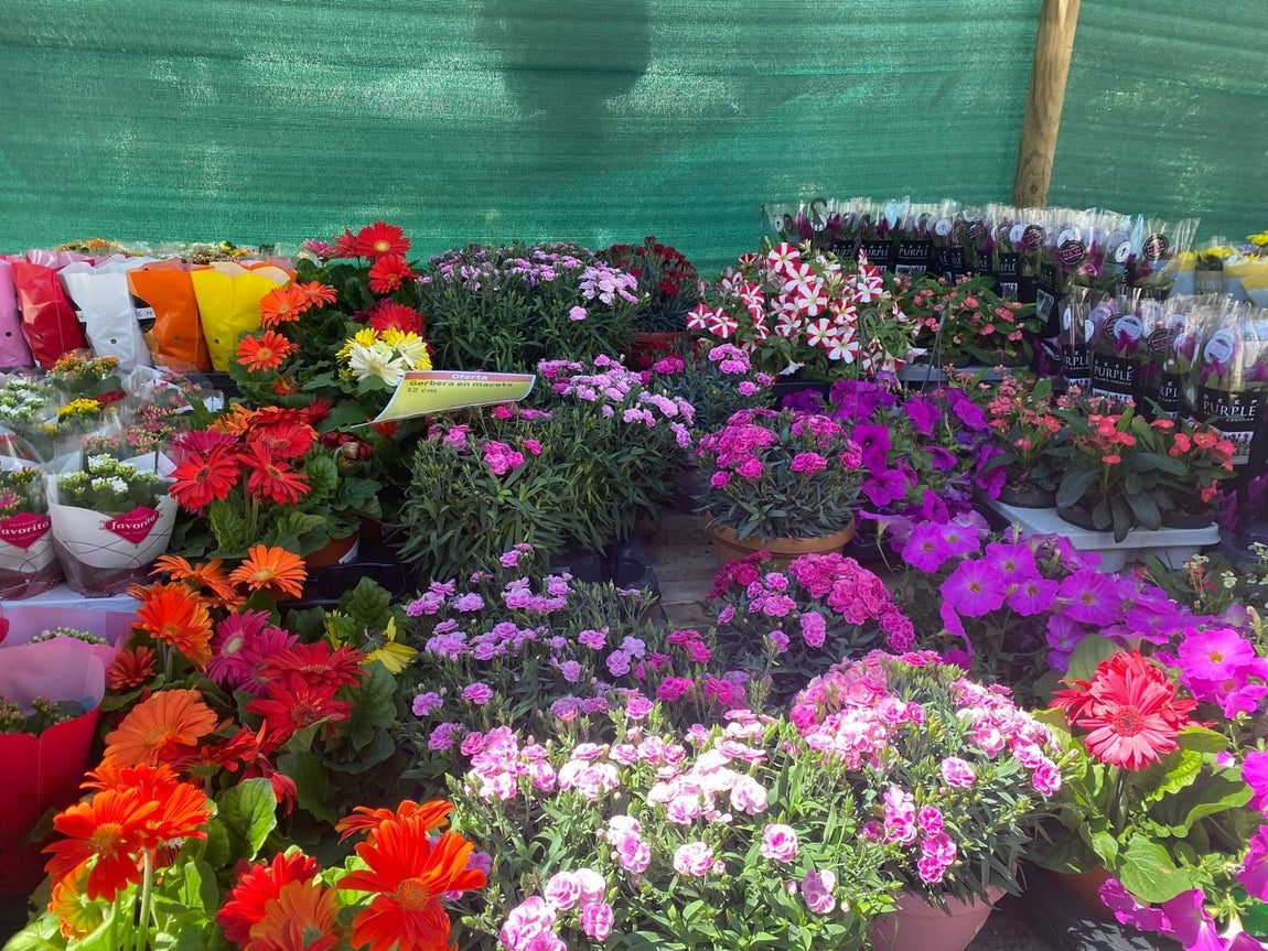 El gran &#039;Jardín de Huelva&#039;, en imágenes