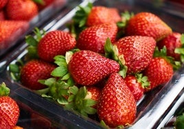Imagen de una bandeja de fresas