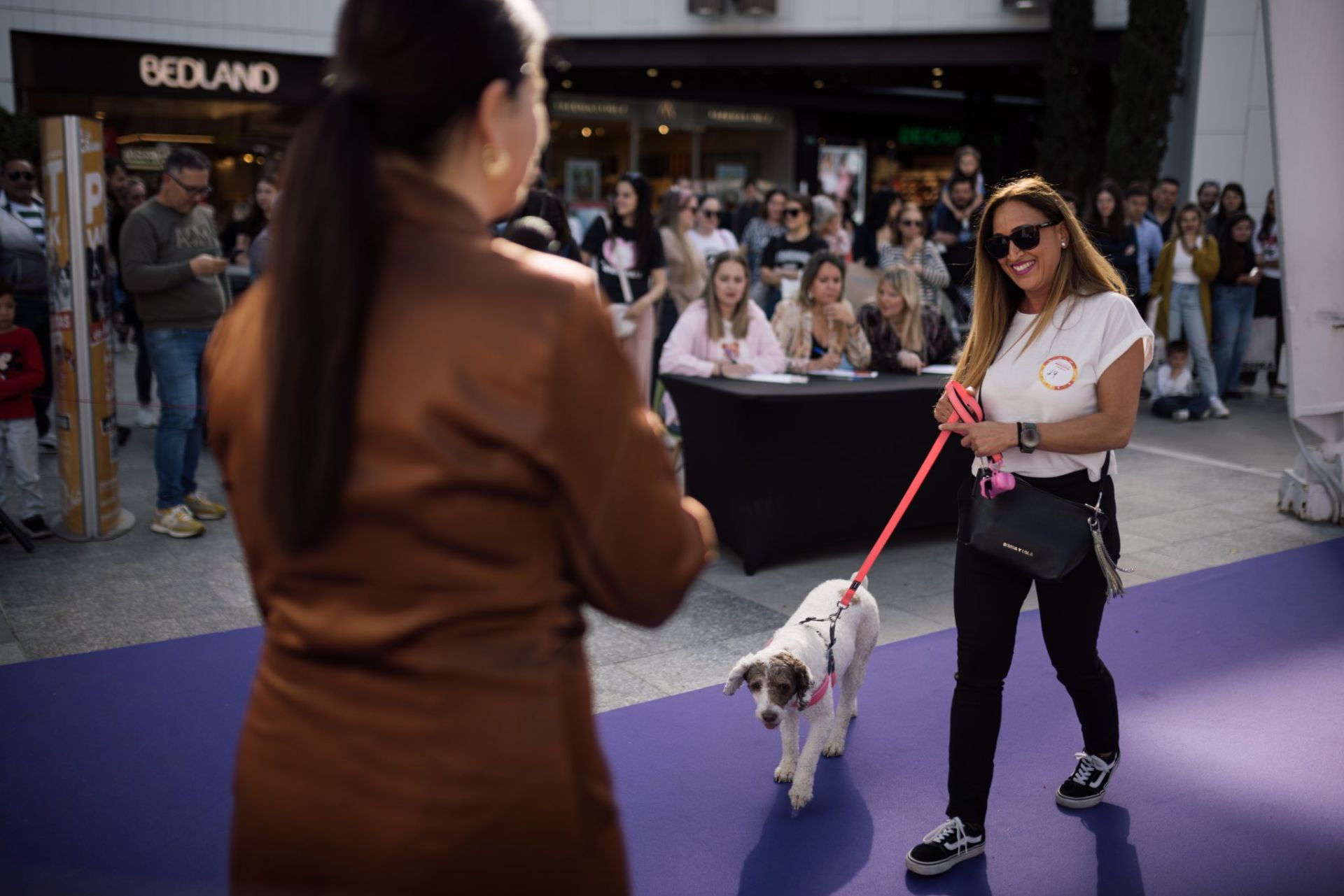 Estas son las mejores mascotas de Huelva