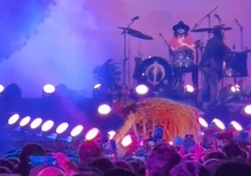 Una fan se desmayó en pleno concierto y esta fue la reacción de Manuel Carrasco: «No le importó estar en mitad del concierto»