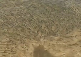 Los boquerones invaden la playa de Matalascañas: «¡Dos pobres pescadores atrapados!»