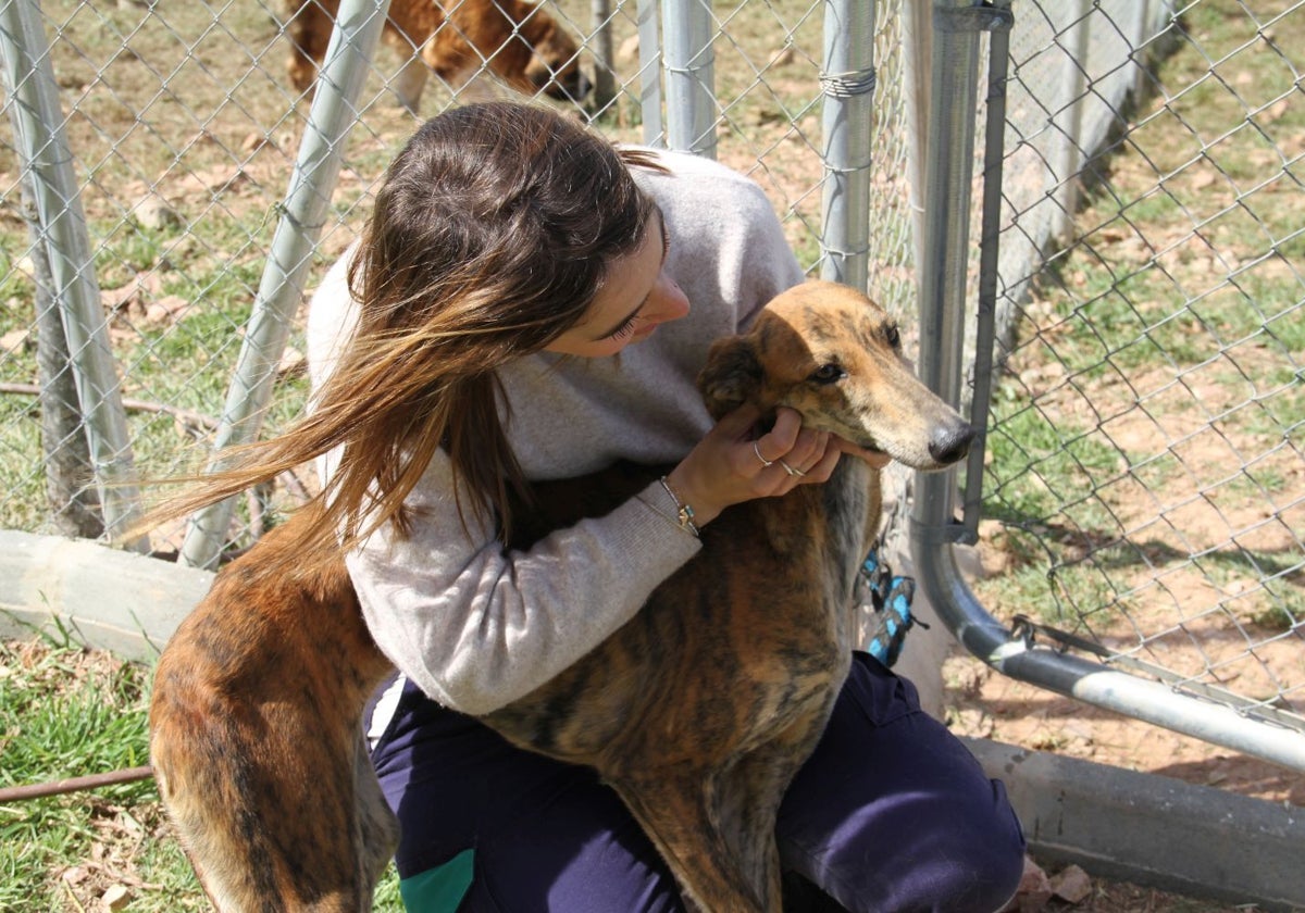 Una voluntaria como uno de los perros del refugio de Valverde