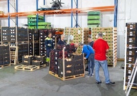 Varios voluntario del Banco de Alimentos de Huelva