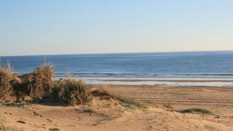 Va a esta playa de Huelva y afirma que es la más fea de la provincia: «La primera y última vez, arena de muy mala calidad»