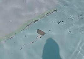 Una mujer va al nuevo resort de Matalascañas y se queja de estos desperfectos: «¡El hotel más malo y a la vez más caro al que he ido!