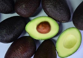 El doctor Aurelio Rojas desmonta el mito del aguacate: «Ayuda a perder peso gracias a su fibra y grasas saludables»