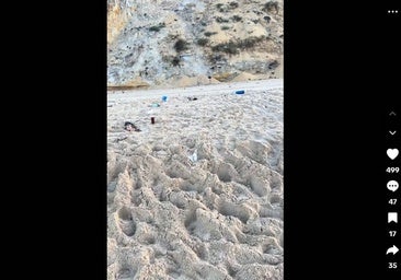 Un pescador va a una playa de Doñana y se queda sin palabras al encontrar esto en la arena: «¡Esto es de vergüenza, no tiene descripción!»