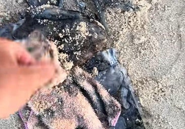 Un pescador va a una playa de Doñana y se queda sin palabras al encontrar esto en la arena: «¡Esto es de vergüenza, no tiene descripción!»