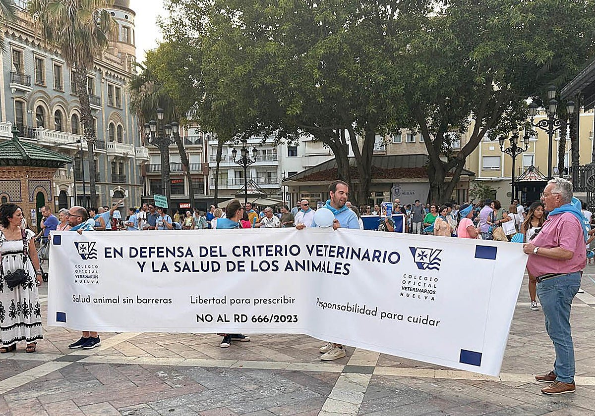La protesta de los veterinarios onubenses en la Plaza de las Monjas de la capital
