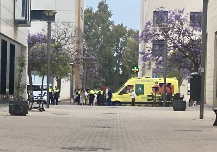 Efectivos policiales y sanitarios, en el Lugar del atropello al peatón