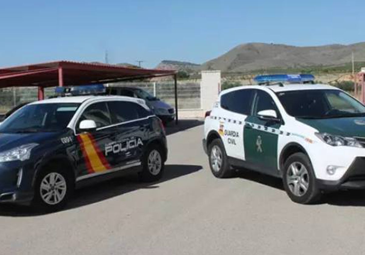Un coche de la Policía Nacional y otro de la Guardia Civil