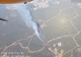 El incendio del paraje Malpica de Cartaya deja 13 hectáreas de matorral quemadas