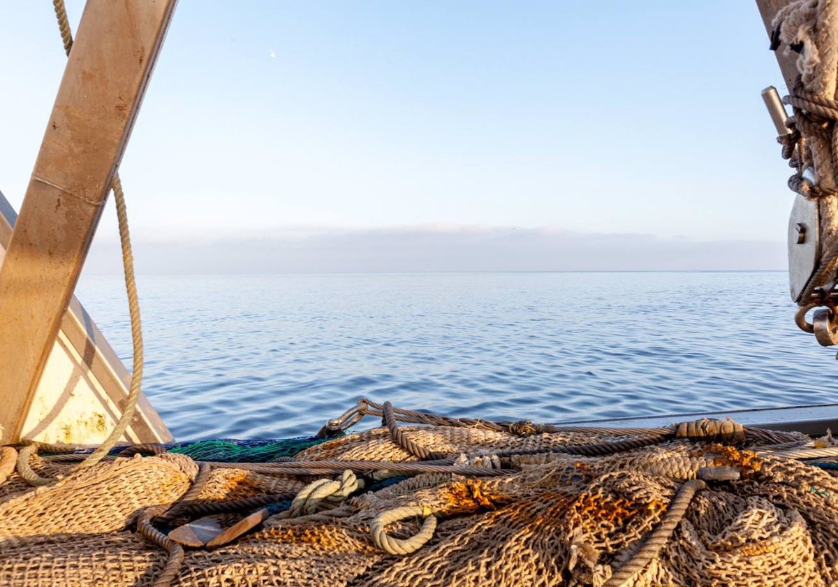 Imagen de un barco pesquero faenando