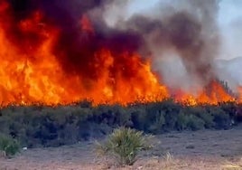 Más de 150 efectivos y 17 aeronaves tratan de frenar en Bonares el avance de las llamas