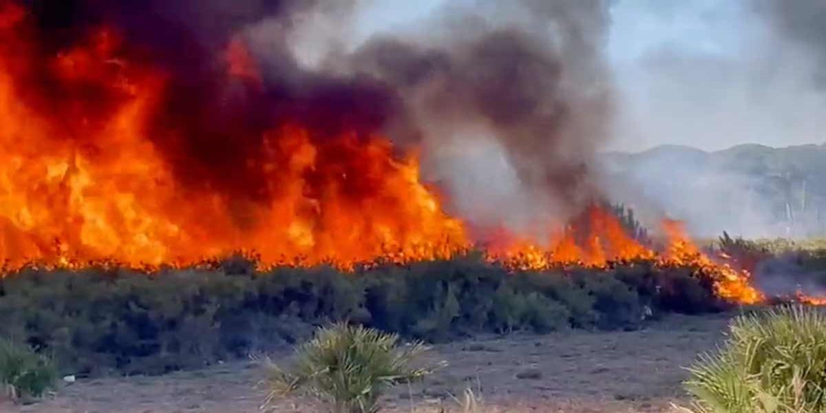 El incendio la tarde del pasado sábado