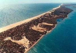 El mar devuelve a la orilla el cadáver de un hombre en la Flecha del Rompido