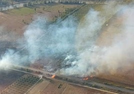 Incendio en Huelva: Controlado el fuego en un paraje de Moguer que obligó al corte de la A-486