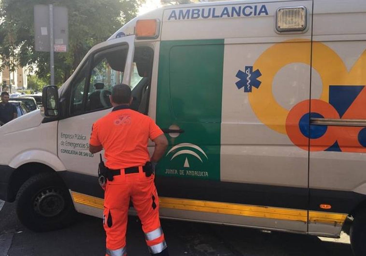 Los servicios sanitarios no pudieron hacer nada por salvar su vida