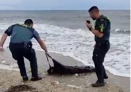 Investigan la procedencia de los restos de un cadáver aparecido en la playa del Espigón