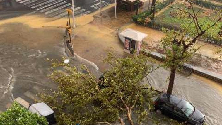 Huelva también sufre el embate de 'Bernard': carreteras cortadas, calles anegadas y cientos de árboles derribados