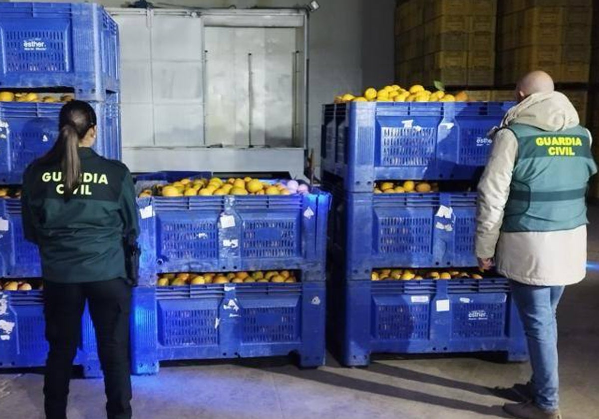 Agentes de la Guardia Civil de Huelva, ante las naranjas recuperadas