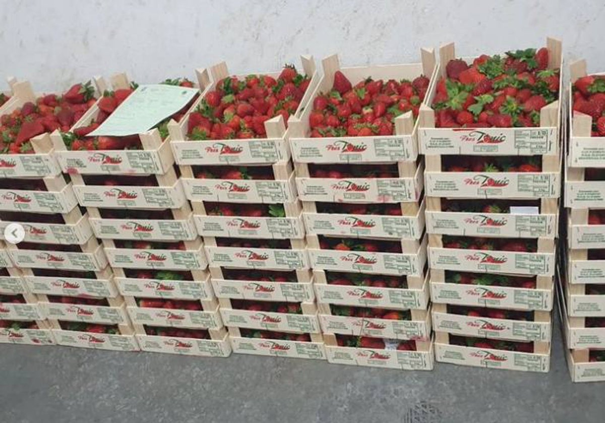 Las 87 cajas de fresas destinadas a la venta ambulante en Huelva