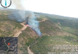 Declarado un incendio forestal en Valverde del Camino