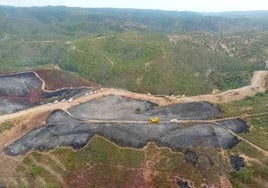 El Infoca logra controlar en Valverde un incendio con un potencial destructivo de «miles de hectáreas»