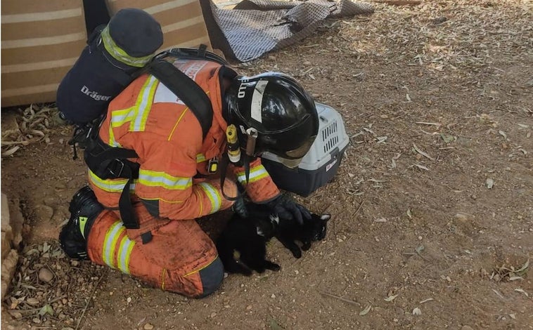 Imagen principal - Momentos de la intervención de los efectivos de emergencia en el incendio declarado en una vivienda de Ayamonte