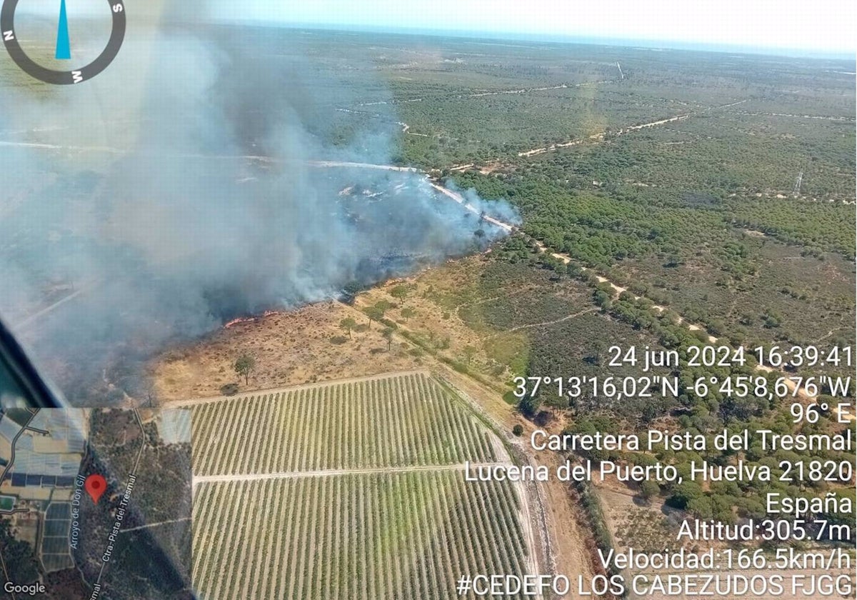 Incendio declarado este lunes en Lucena del Puerto