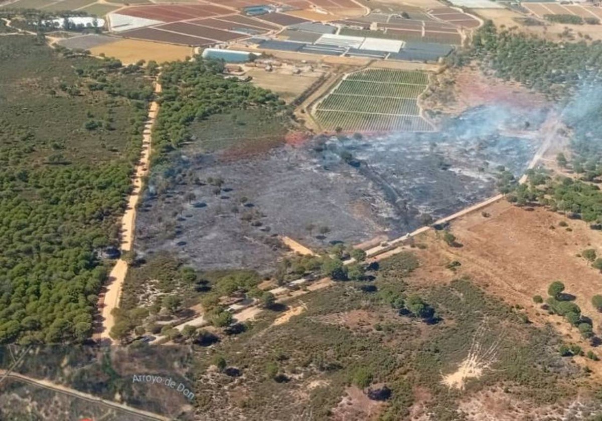 Imagen de la zona que ha ardido