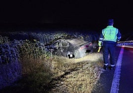 Otra vez animales sueltos  ponen en riesgo la vida de una persona en las carreteras de Huelva
