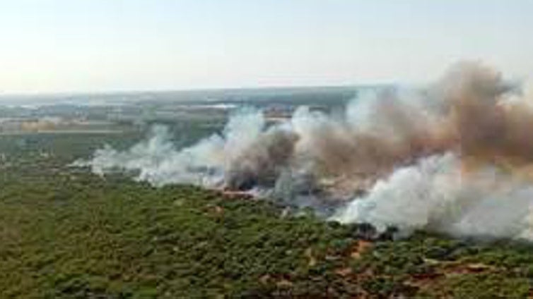Efectivos del Infoca trabajan en un incendio forestal declarado en los pinares de Cartaya