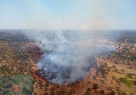 El Infoca logra estabilizar el incendio forestal de Villanueva de los Castillejos