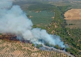 Controlado el incendio forestal declarado en Almonte y se reabre la A-474