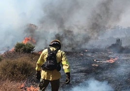 Estabilizados los dos incendios forestales declarados en Bonares