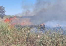 La Guardia Civil localiza en las inmediaciones de la prisión de Huelva a la persona que acababa de provocar un incendio en un paraje cercano