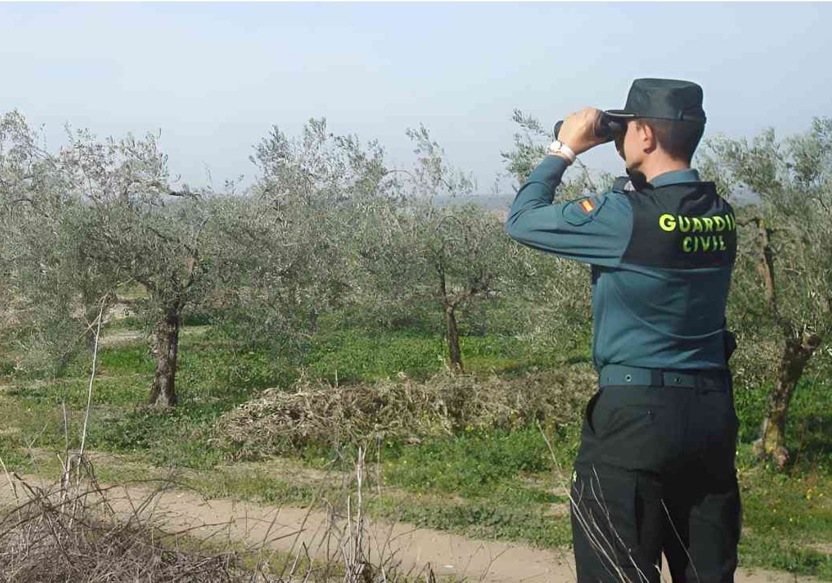 Un agente vigila en un campo de la provincia