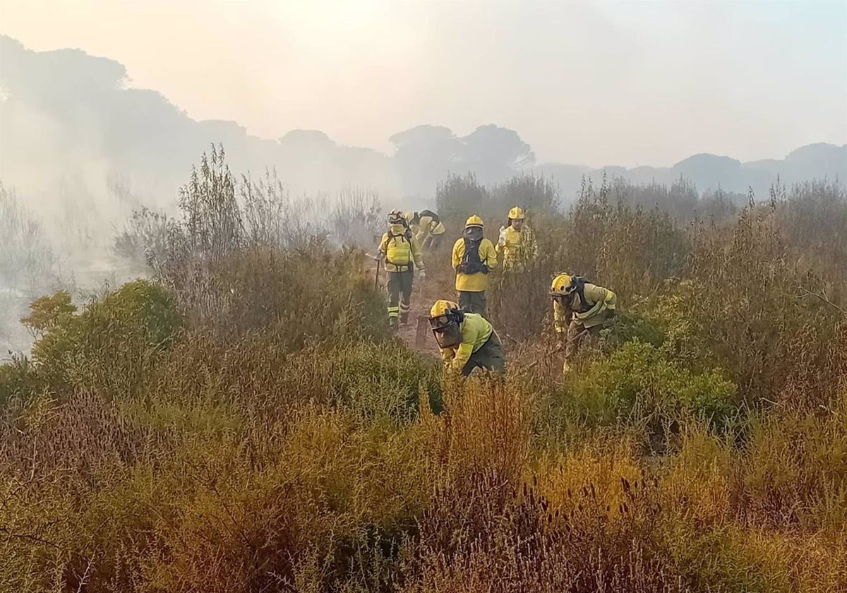 Personal de tierra del Infoca abriendo una línea de defensa en el paraje Los Llanos de Moguer