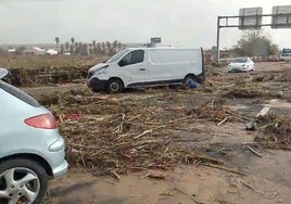 «La chica llevaba cinco horas desnuda agarrada a un árbol y me preguntó:¿Estoy viva?»