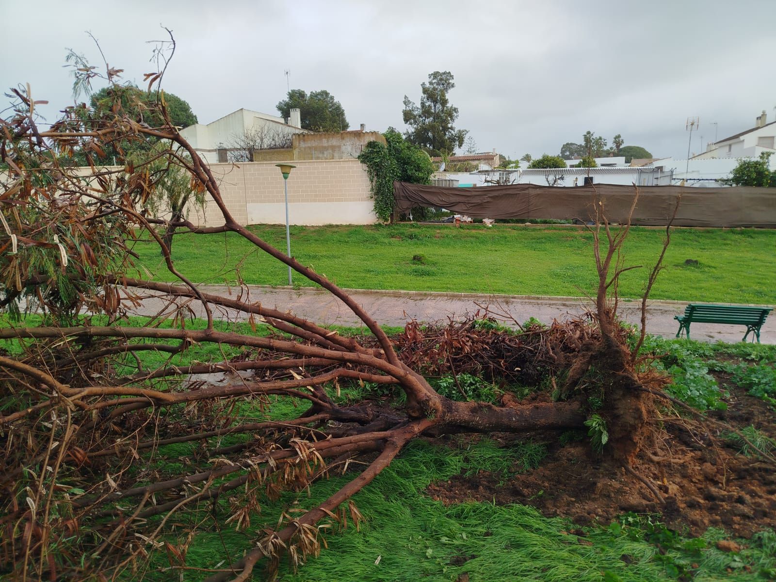 Las imágenes de los destrozos que ha causado un tornado entre Ayamonte e Isla Cristina