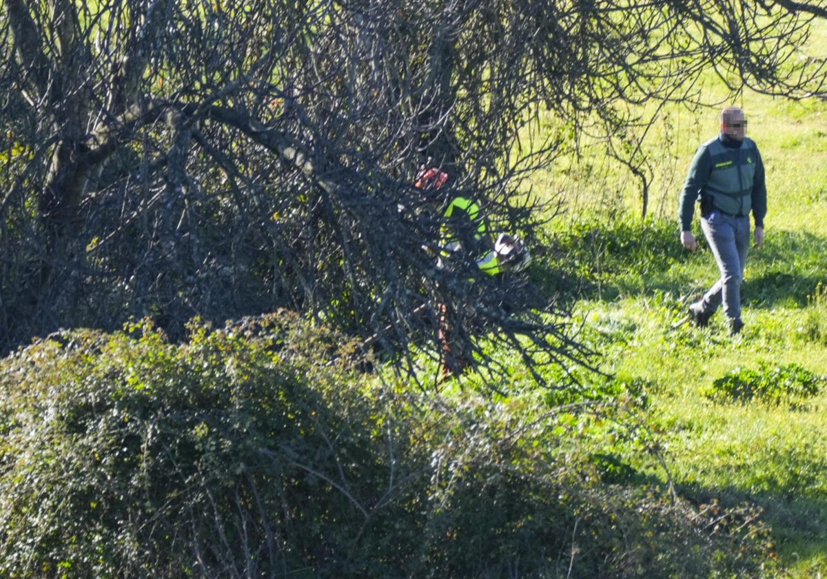 Labores de rastreo en la finca de Santa Olalla