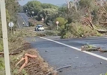 Un tornado golpea la costa de Huelva y causa destrozos entre Ayamonte e Isla Cristina