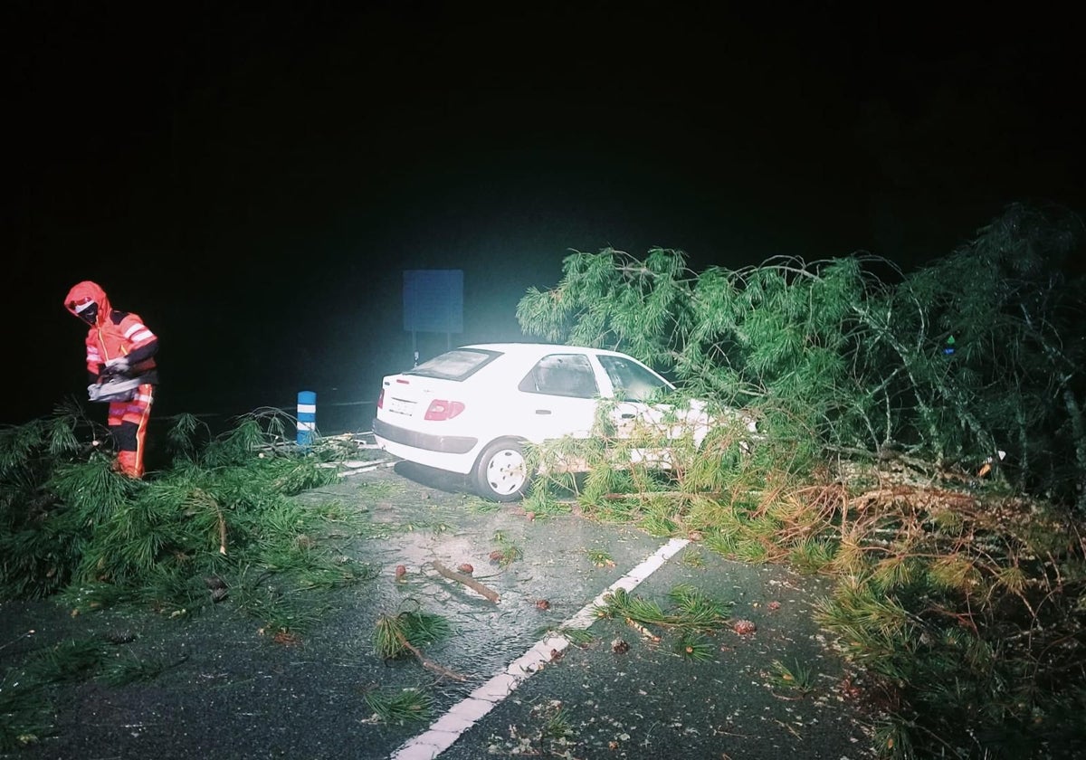 Accidente en Jabugo en el que un conductor resultó herido tras chocar con un árbol